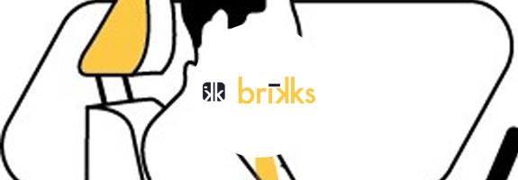 Brikks